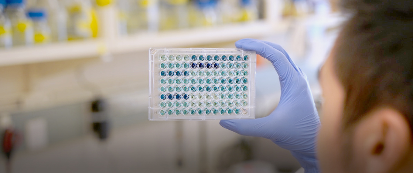 researchers holding up yeast samples